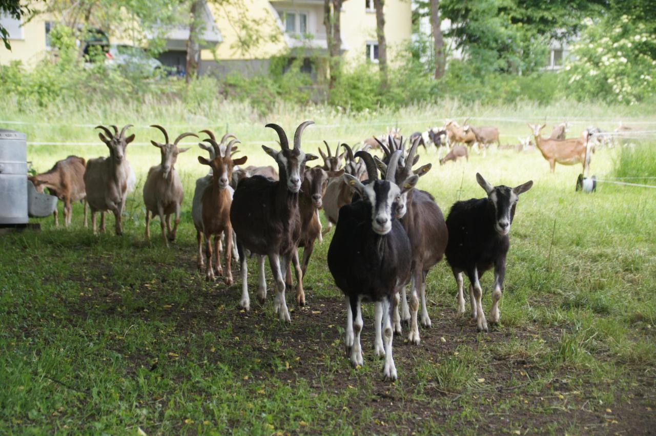 Appartamento Bertelemuehle Günzburg Esterno foto
