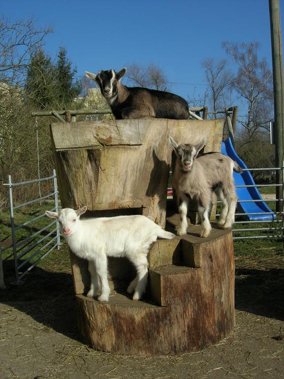 Appartamento Bertelemuehle Günzburg Esterno foto